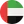 United Arab Emirates flag