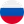 Russia flag